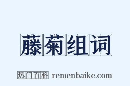 藤菊组词是什么意思的图片